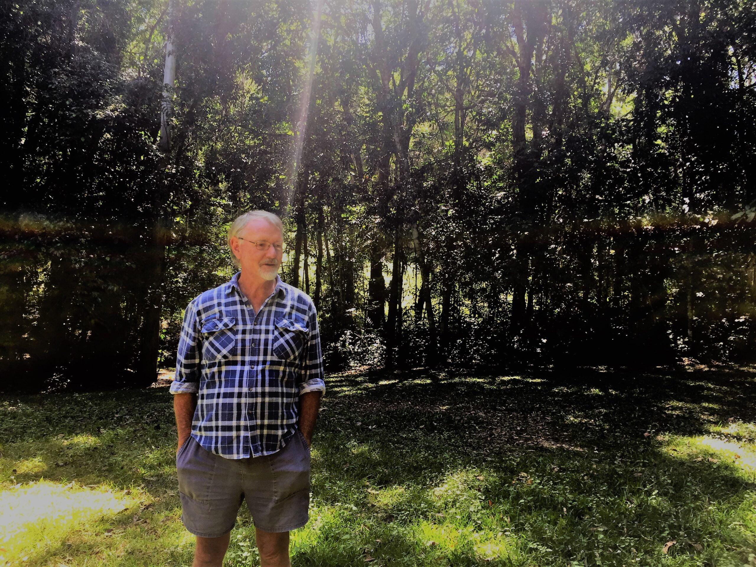 Green Forest resident, Linden Henry shows us where he first detected yellow crazy ants on his property.