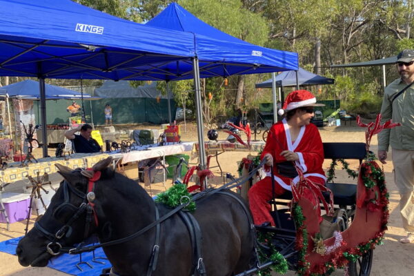 Santa visits for rides with cart and pony