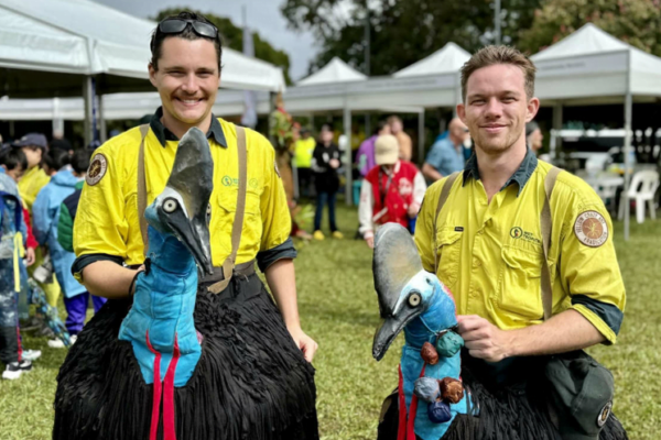 cassowary suits